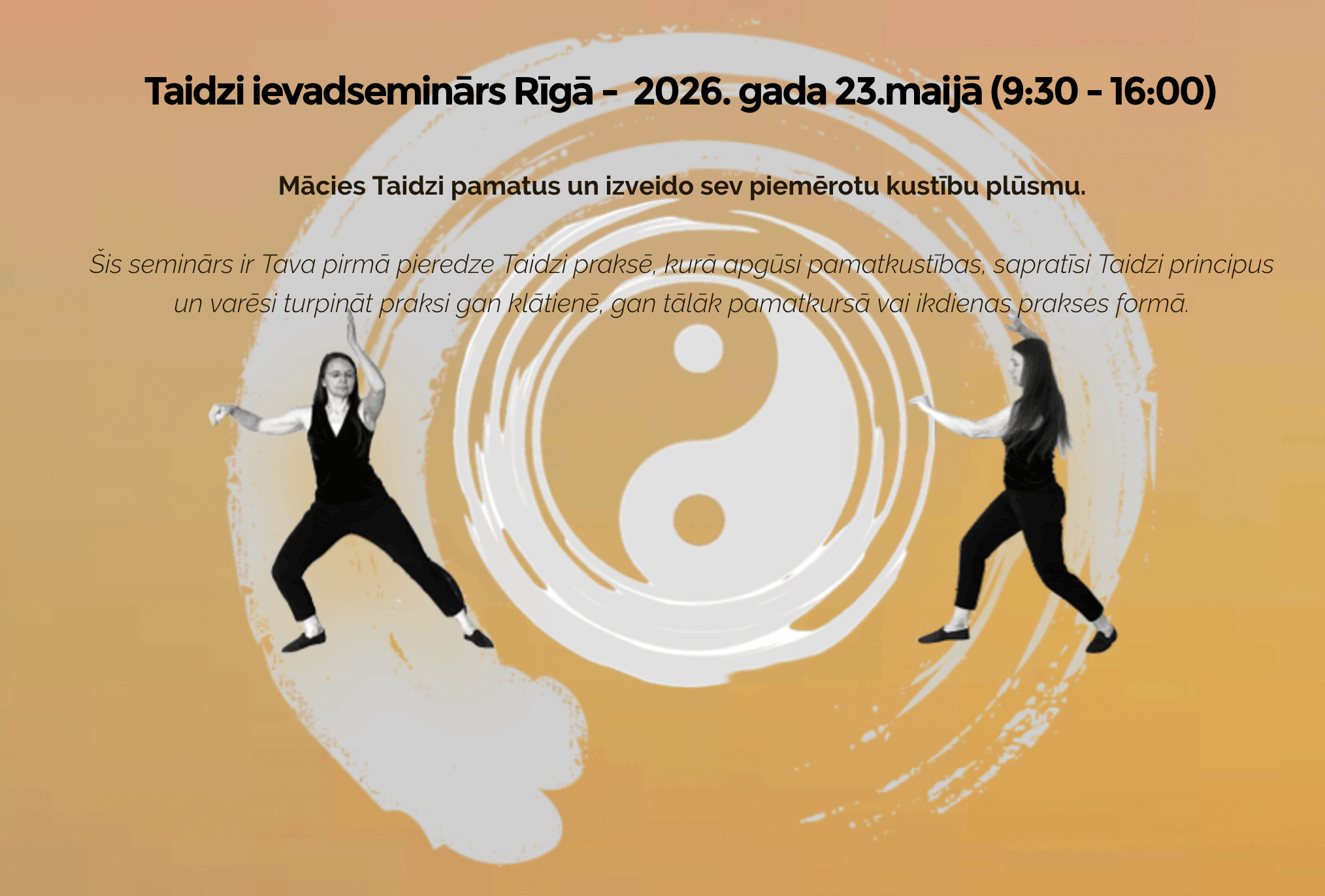 Taidzi ievadkursa saminārs 