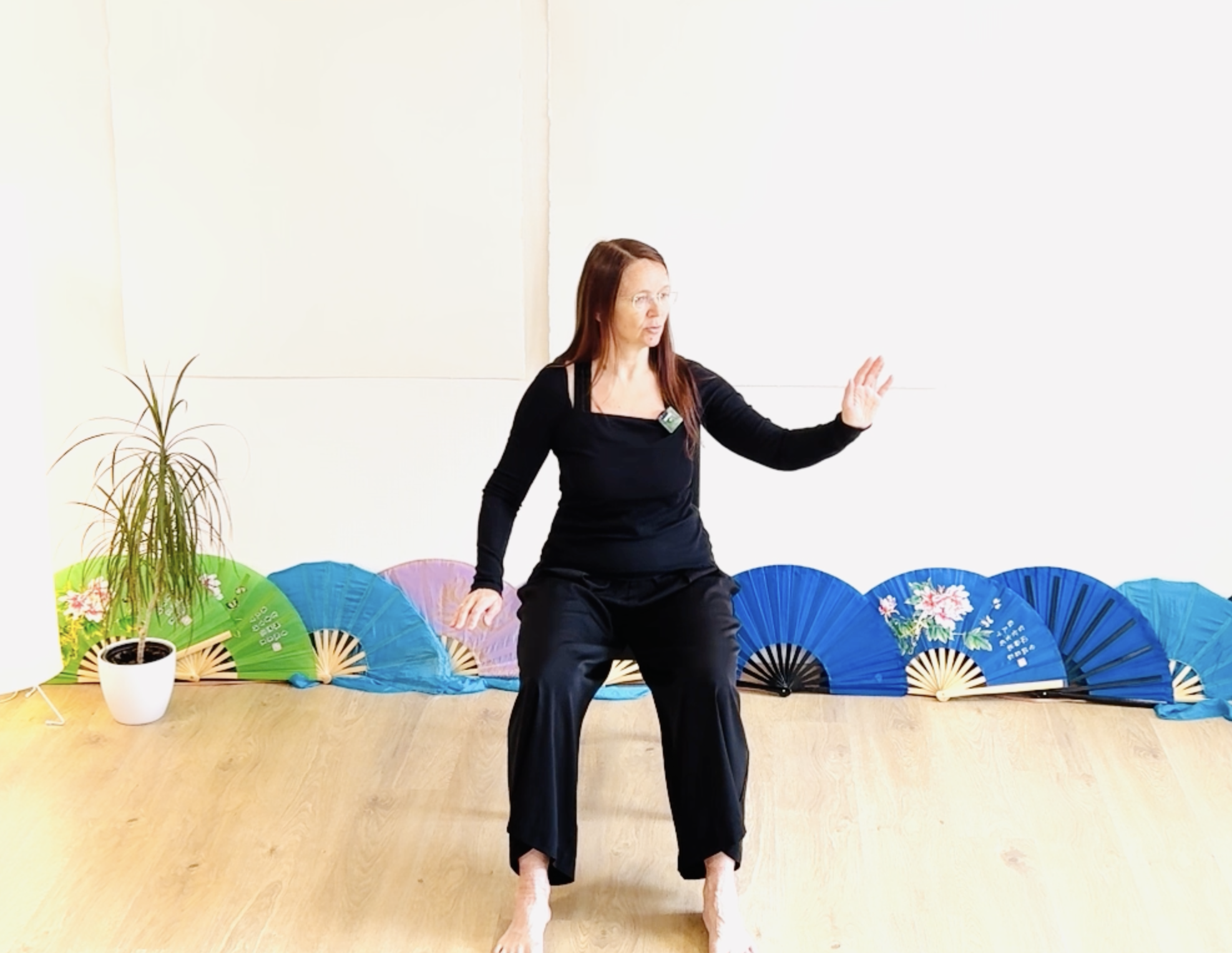 Taidzi sēdus online nodarbības