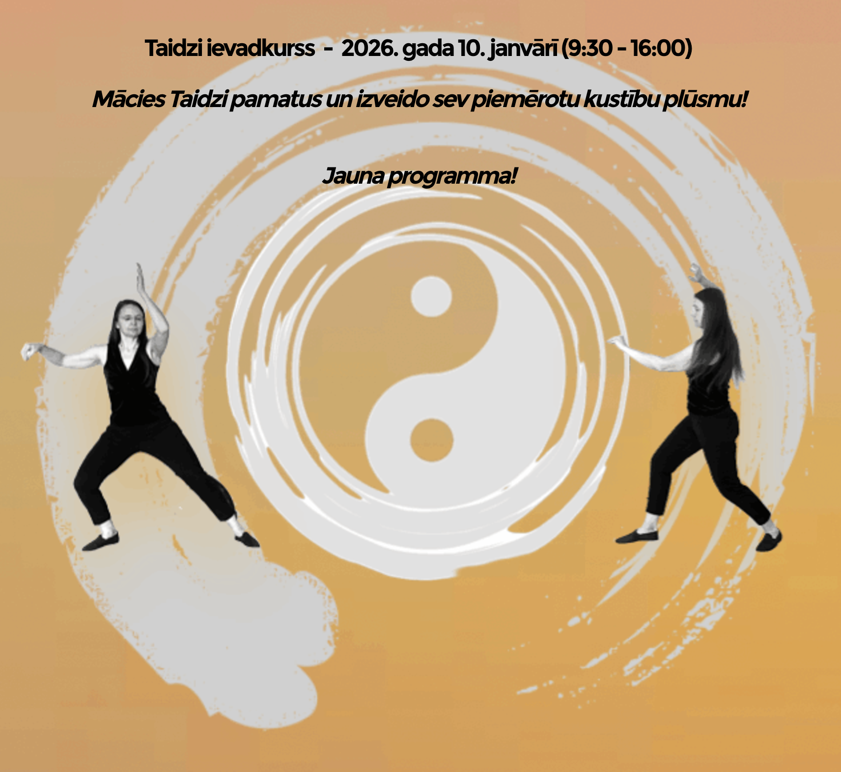 Taidzi ievadkursa saminārs 